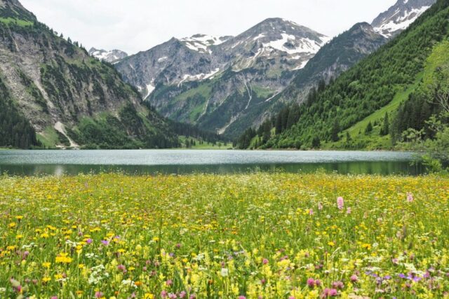 mountain-lake-7190189_1920